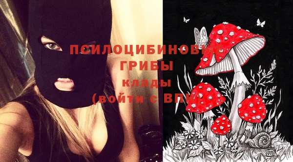 MDMA Белокуриха