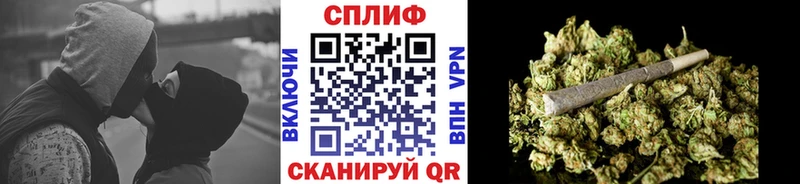 Конопля планчик Афипский